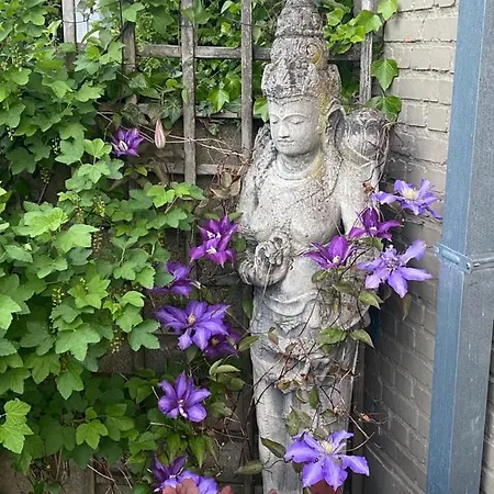 Apartment Garden Duplex Hasselt